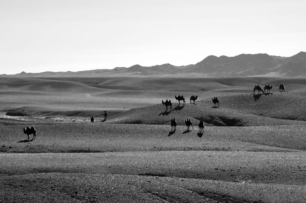 Photograph by Наталия Шинкевич