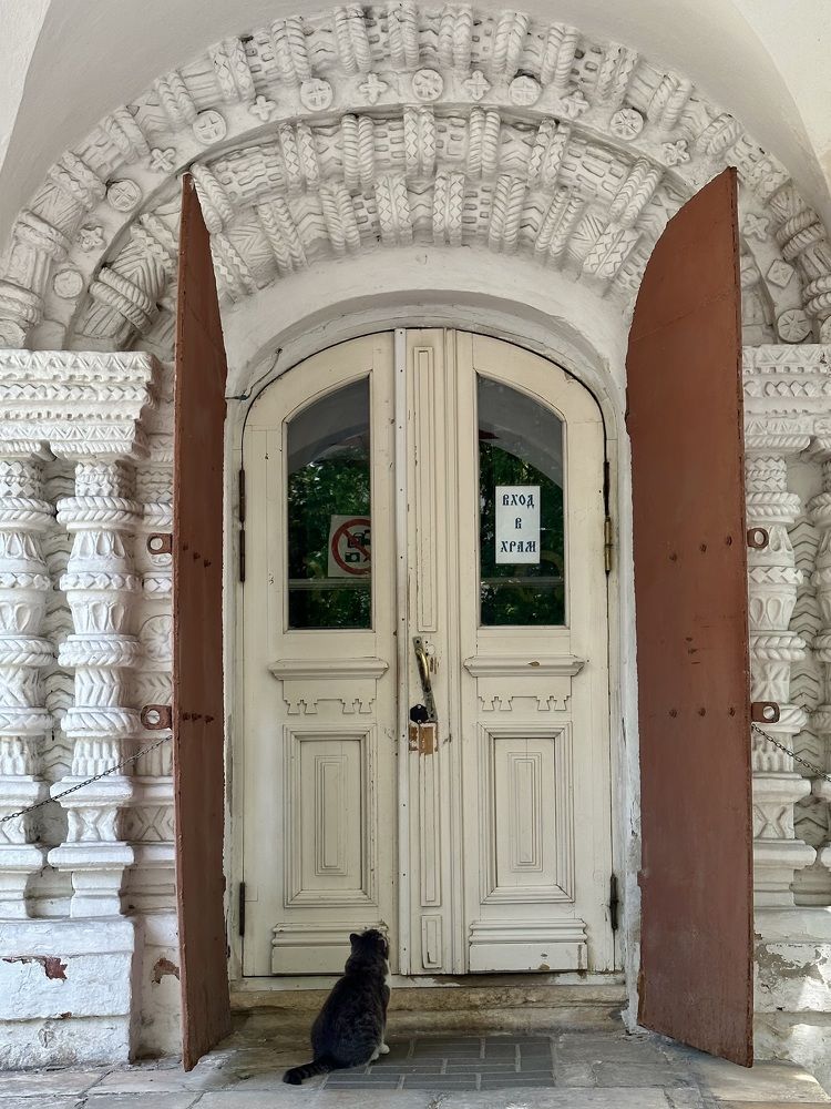 Photograph by Рина Серёгина