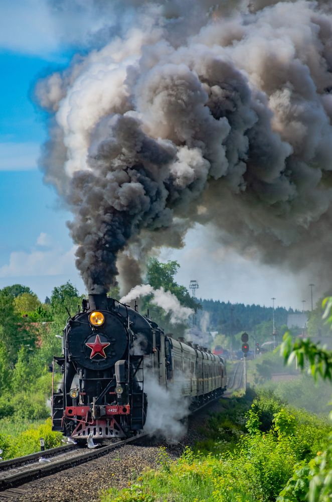 Photograph by Светлана