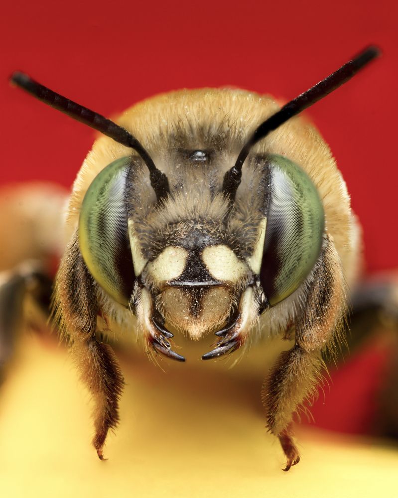 Photograph by Jose Martin Ceja Medina