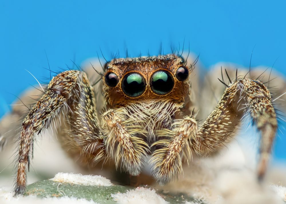 Photograph by Jose Martin Ceja Medina