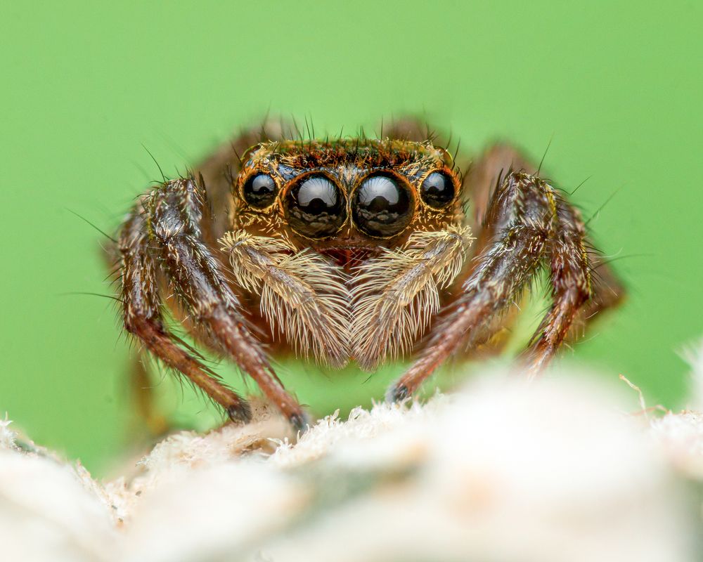 Photograph by Jose Martin Ceja Medina