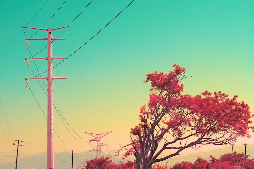 Photograph by Adrian Ramirez