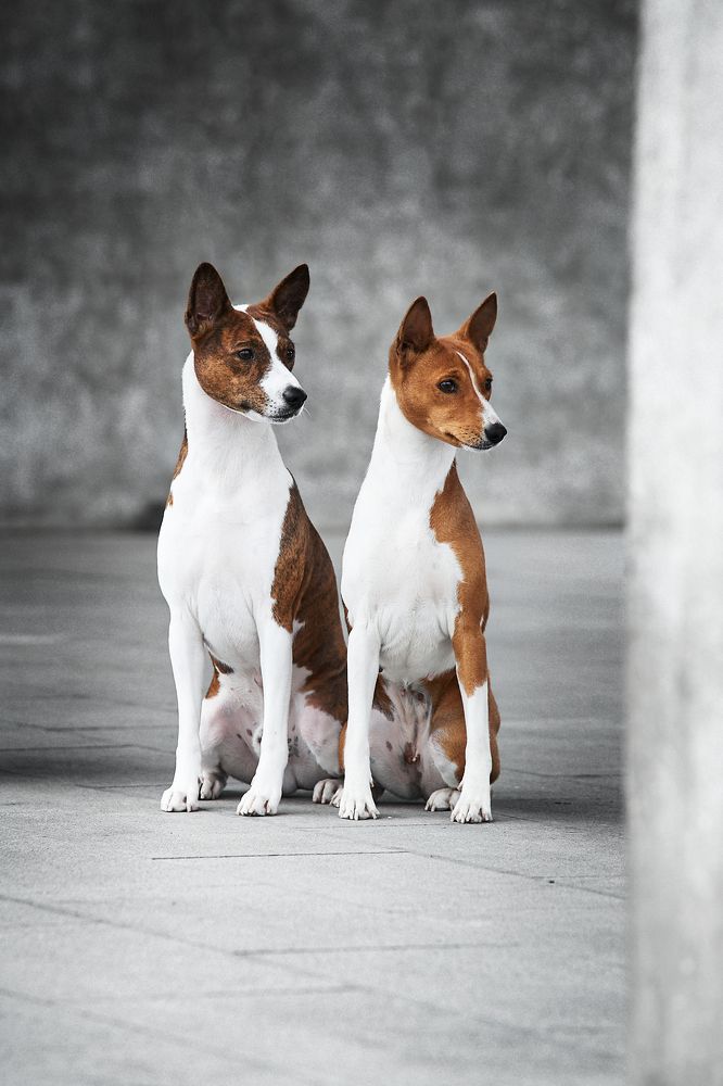 Фотография автора Вострецов Иван