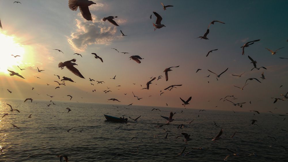 Photograph by Hadi Farokhi