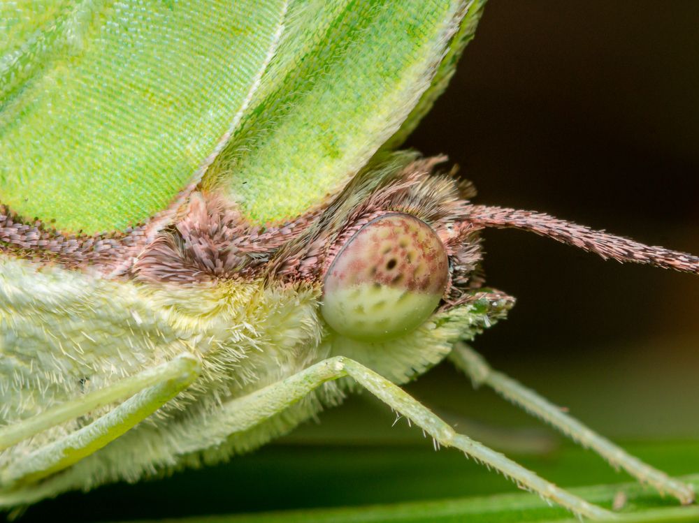 Photograph by Jose Martin Ceja Medina