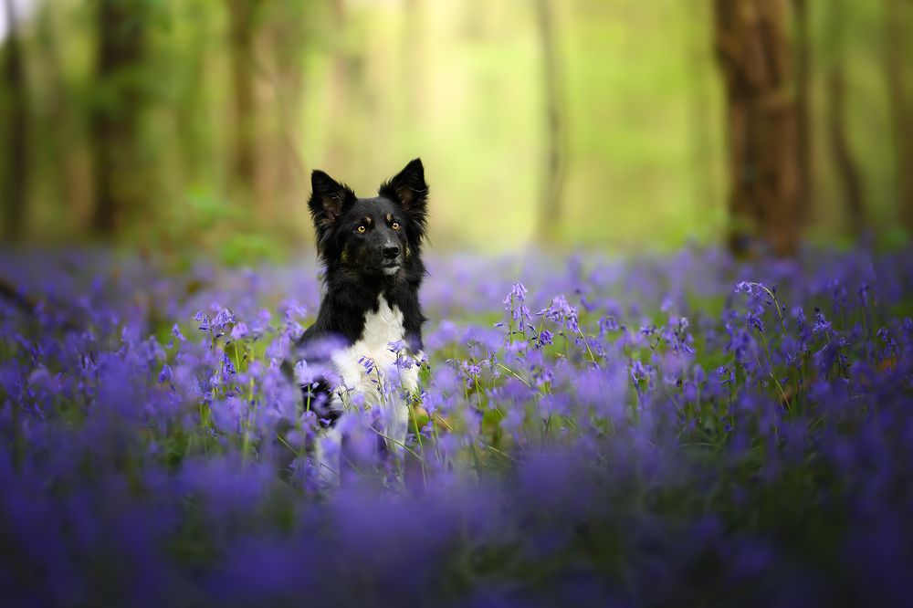 Photograph by Laetitia Delval