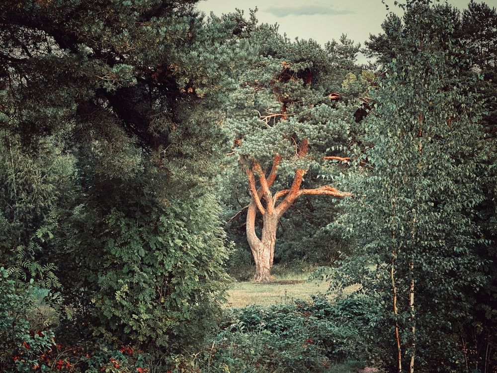 Photograph by Evgenia Barinova