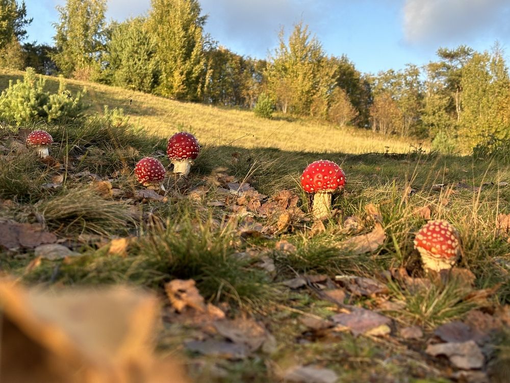 Photograph by Evgenia Barinova