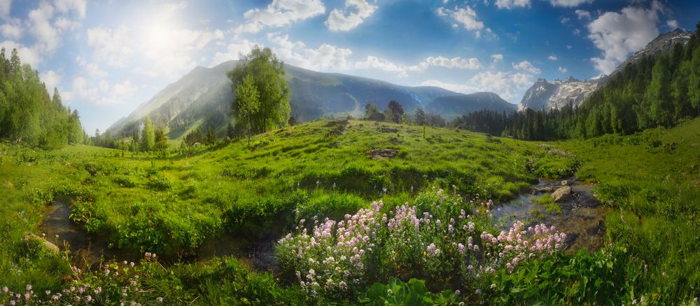 Photograph by Сергей Кочергин