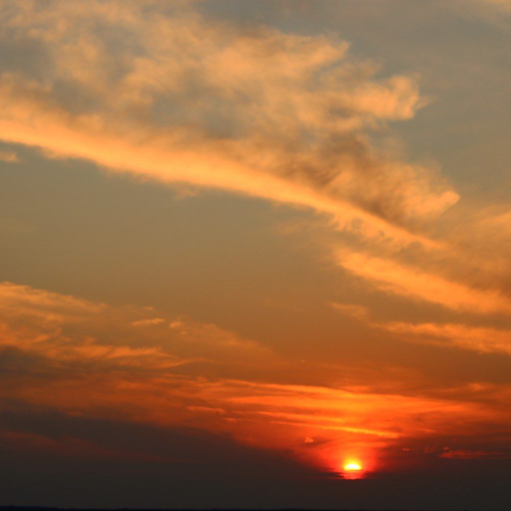 Photograph by Hajar Amir hajiloo