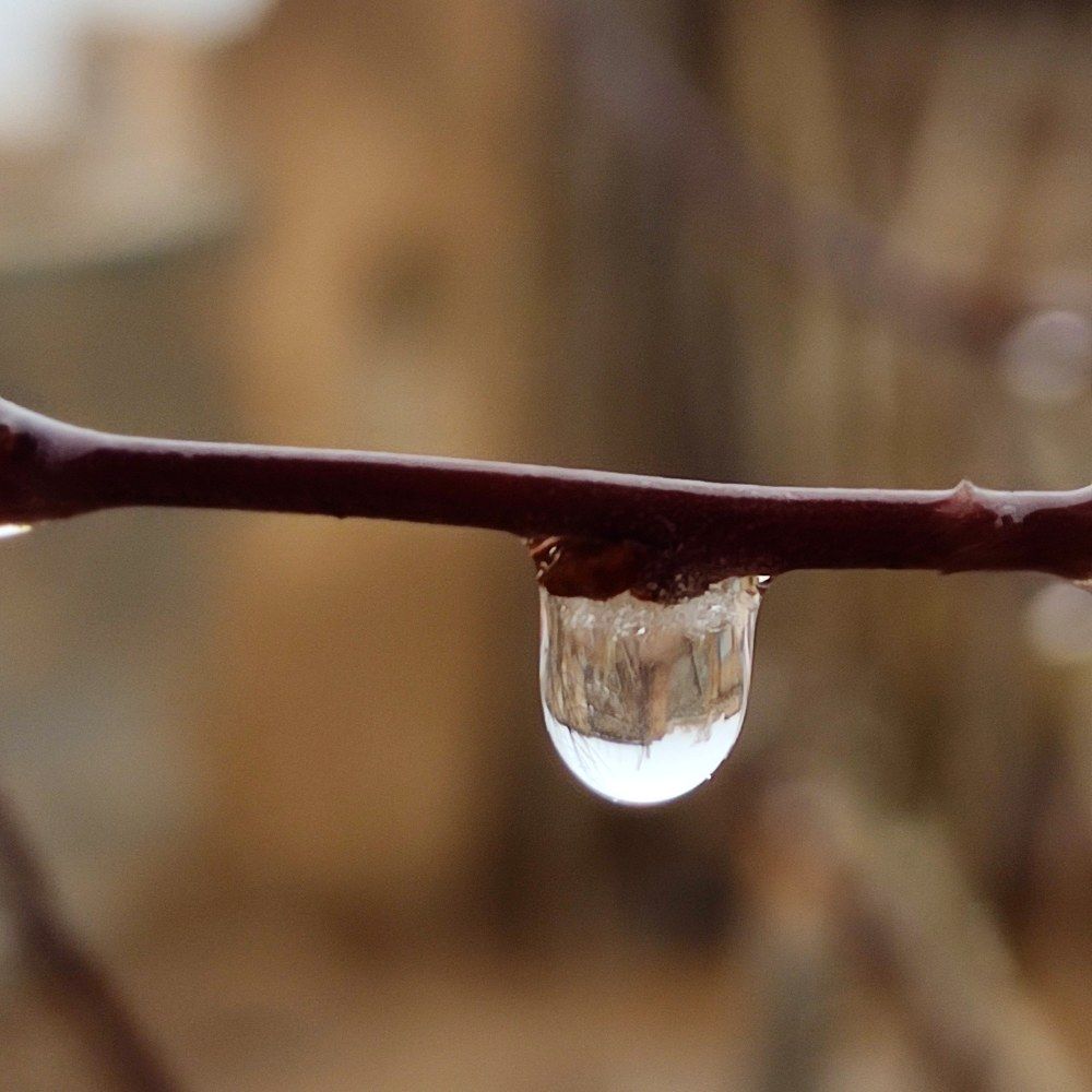 Photograph by Hajar Amir hajiloo