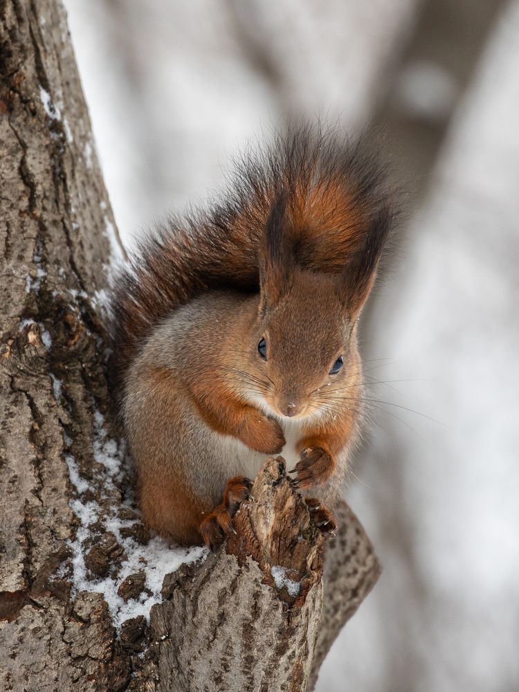 Photograph by Бравичева Анастасия