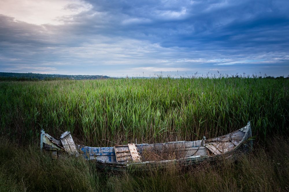 Photograph by Tsvetan Valchev