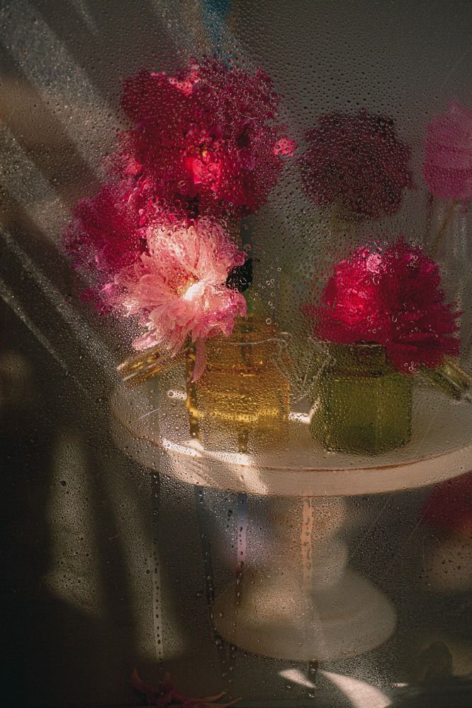 Photograph by Светлана Кавказская