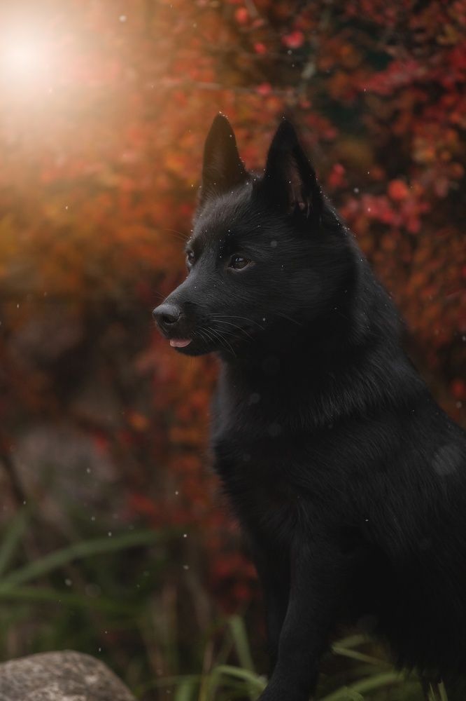 Photograph by Анна Григорьева