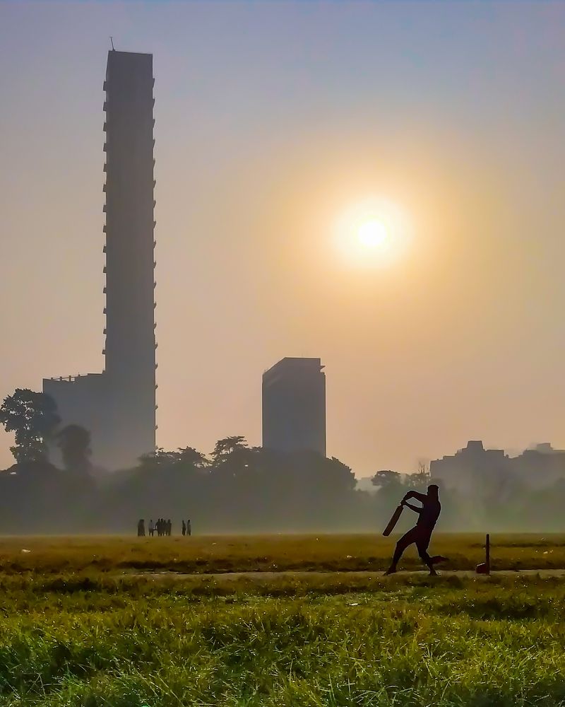 Cricket
