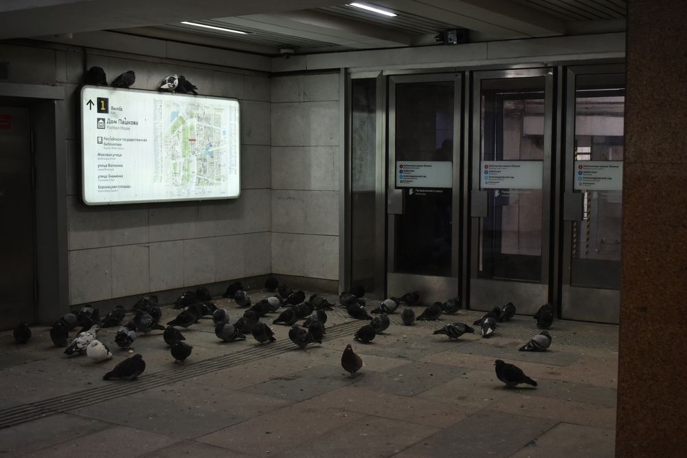 Photograph by Татьяна Носкович