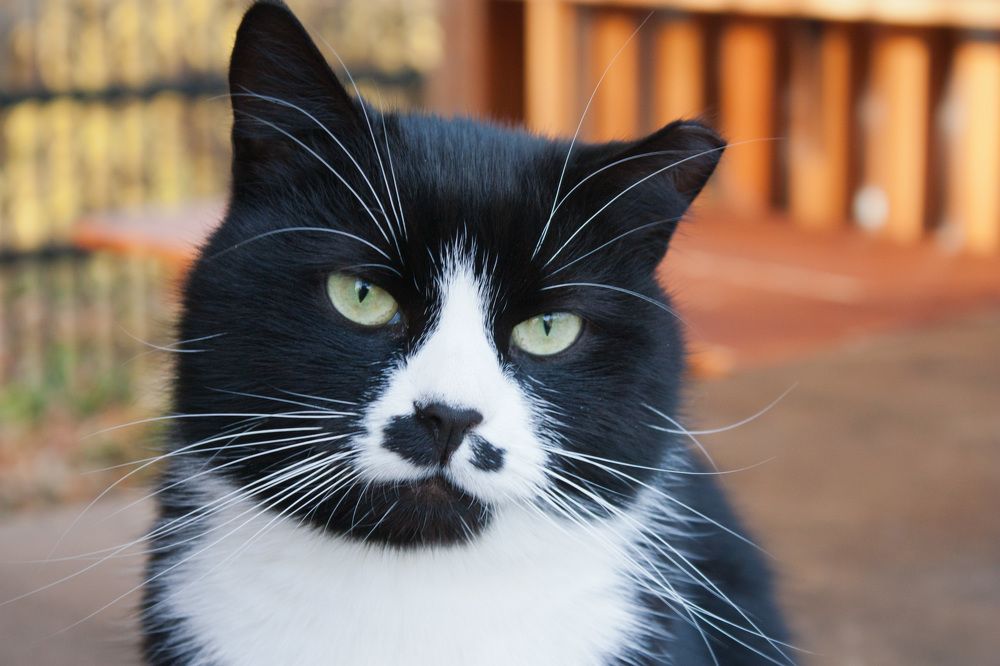 Photograph by Мария Самоловова