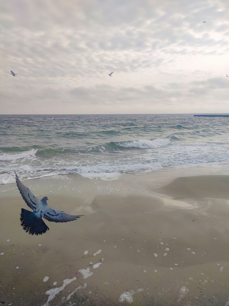 Photograph by Алёна