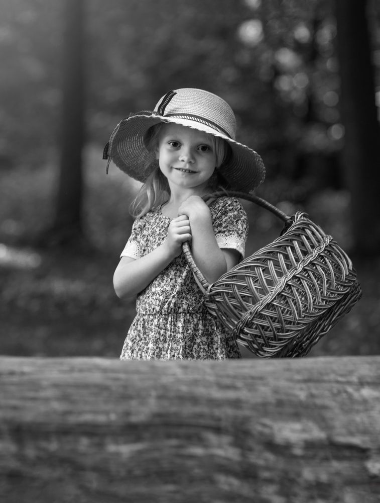 Сегодня грибов не будет. Ну и ладно