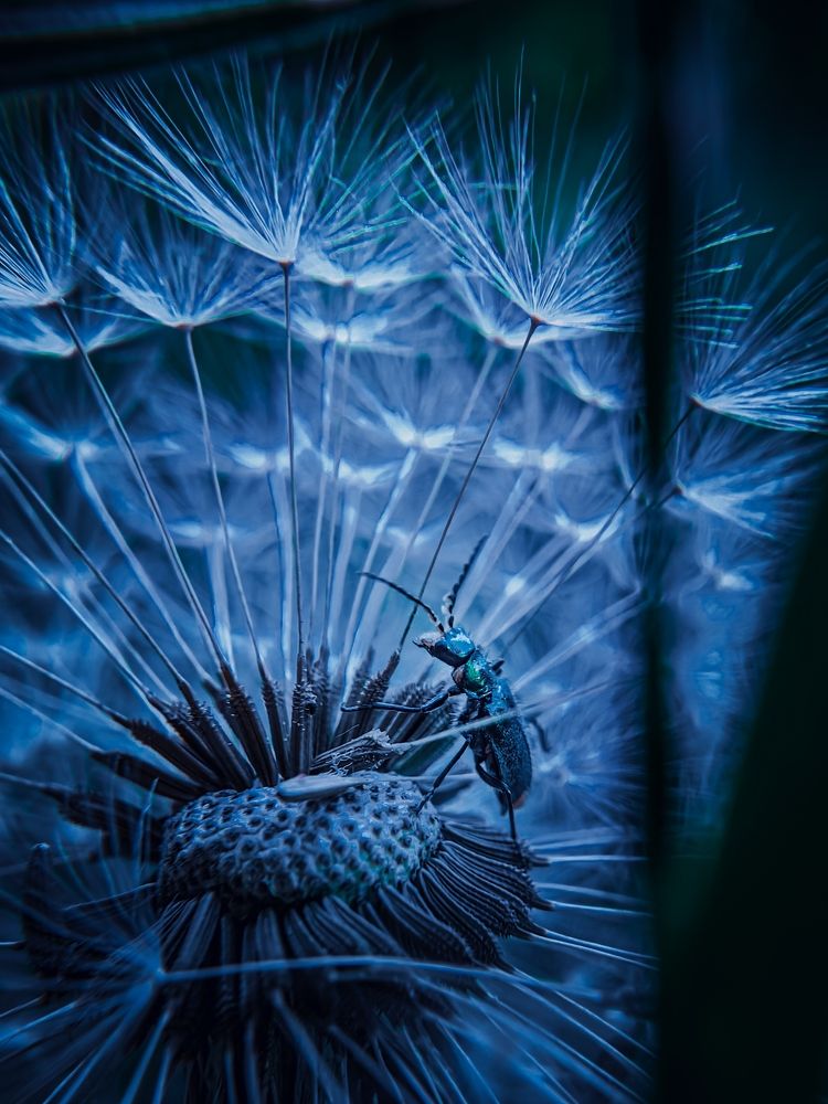 Photograph by Елена