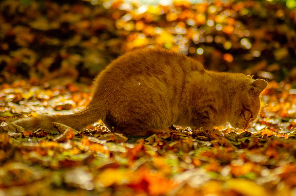 Photograph by Ольга Заповедная