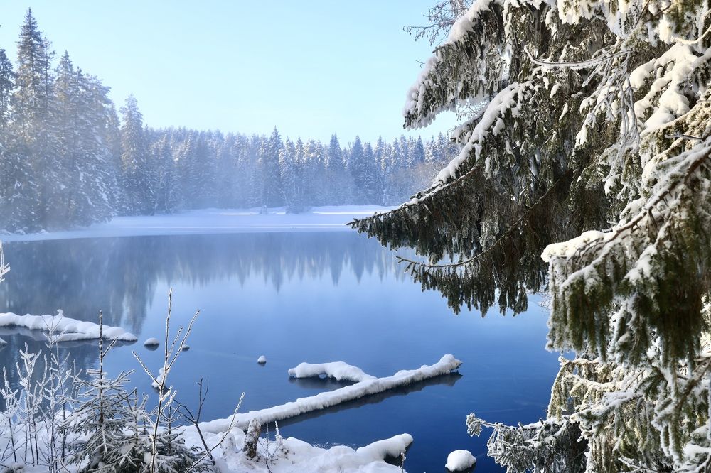 Photograph by Евгения Казакова