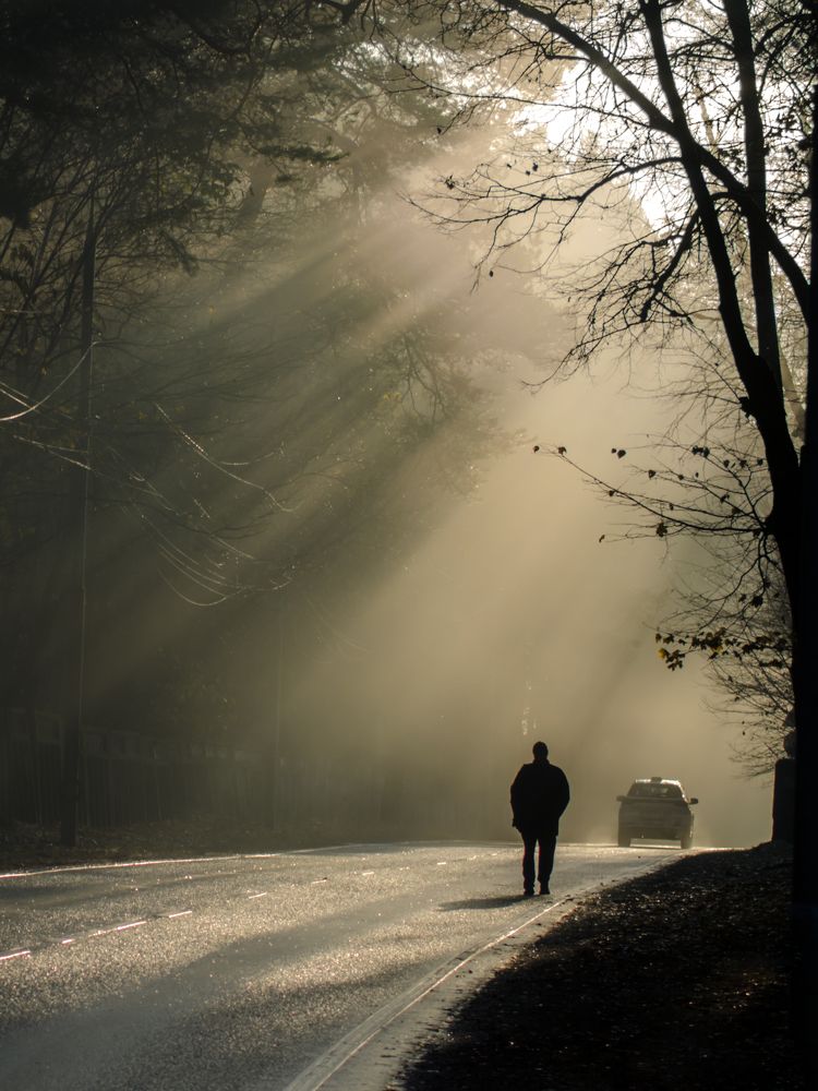 Photograph by Ольга Заповедная