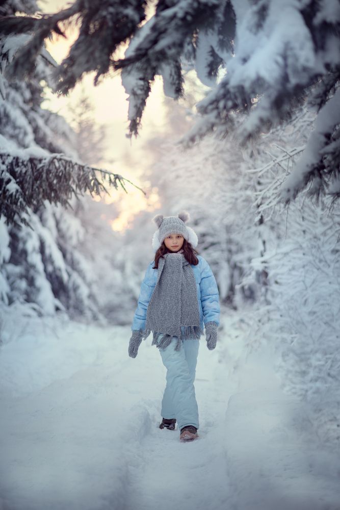 Лесная дорожка