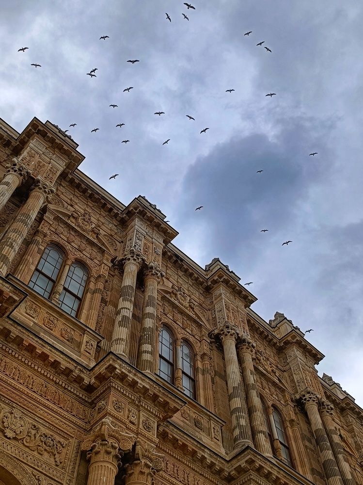 Photograph by Татьяна Шевелева