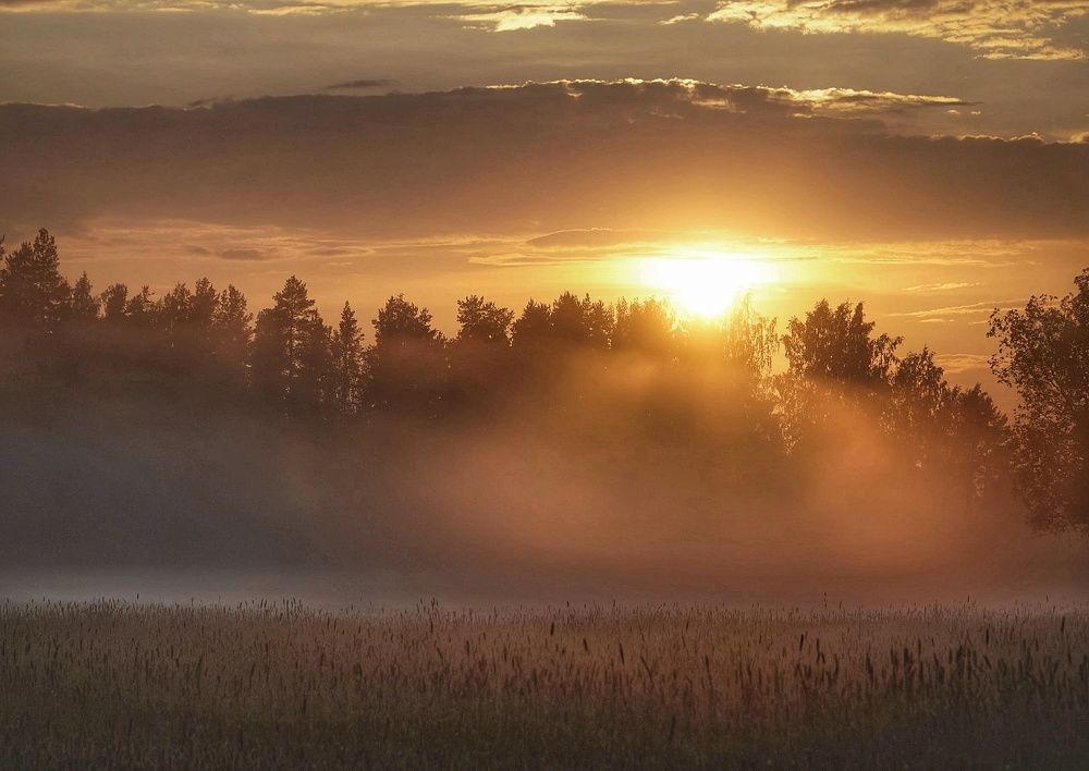 Photograph by Марина Безенкина