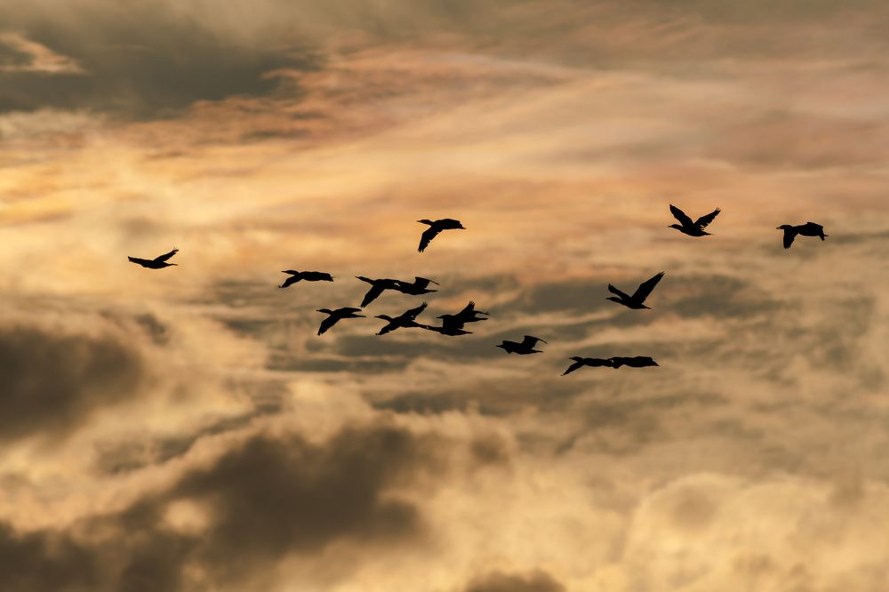 Photograph by Hervie Imus