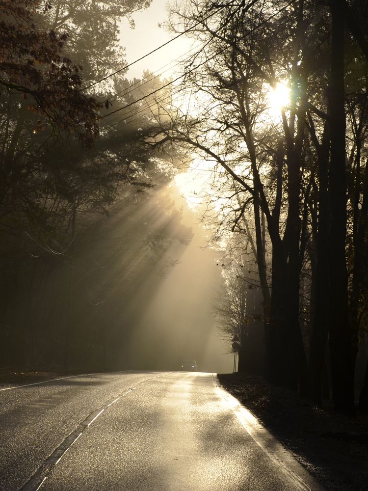 Утренние встречи