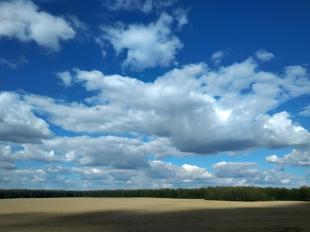 Photograph by Лилия Мустафина