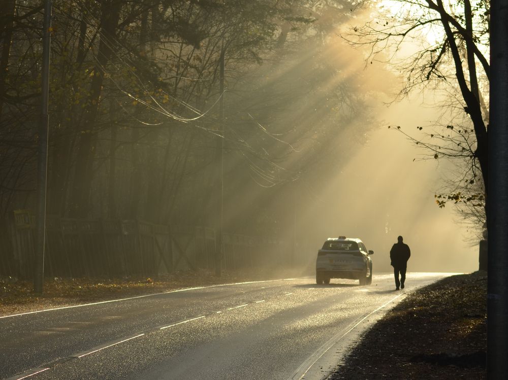 Photograph by Ольга Заповедная