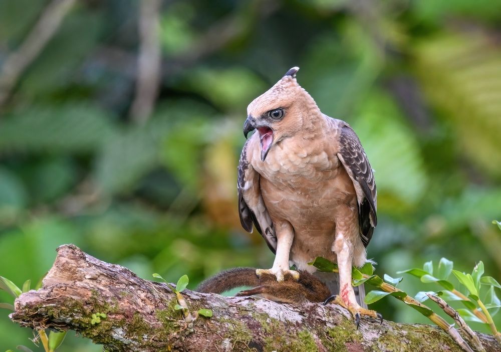 Photograph by NUR AZIMAH THERESA ABDULLAH