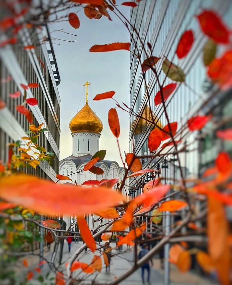 Photograph by Андрей Лысиков