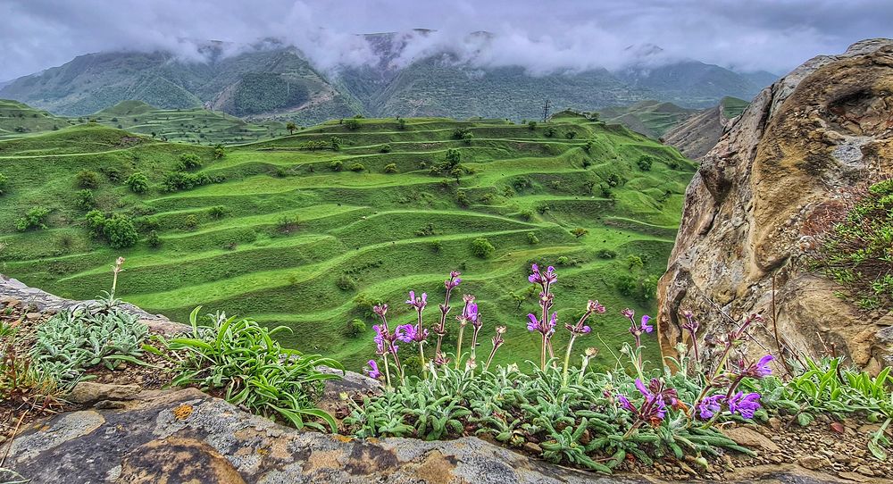 Photograph by Андрей Лысиков