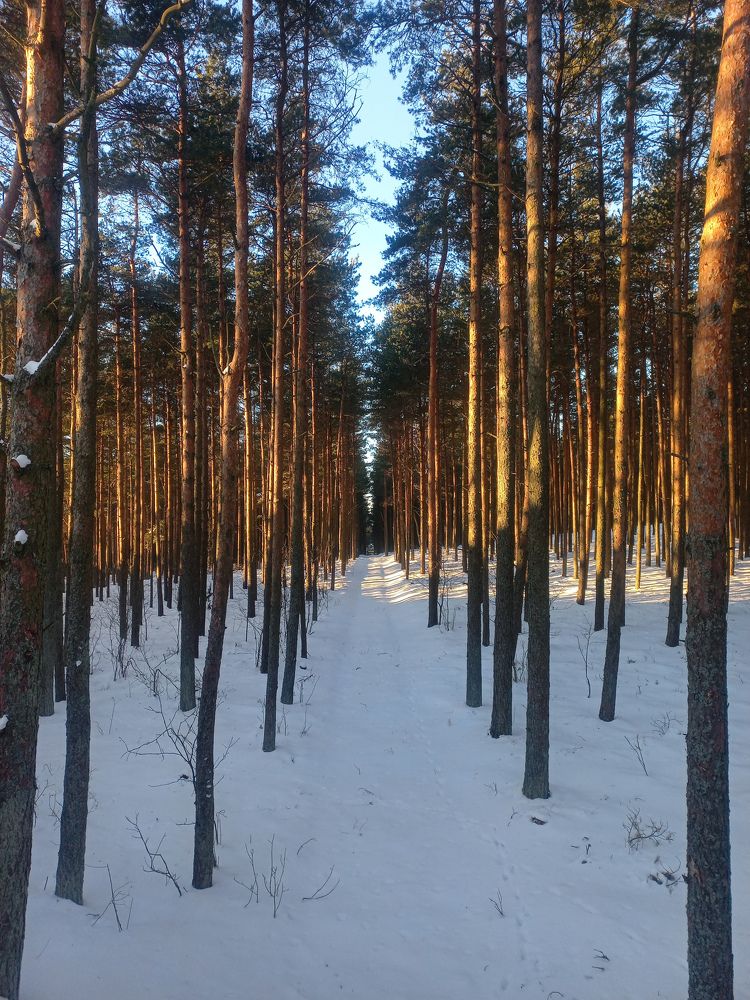 Фотография автора Екатерина Иванова