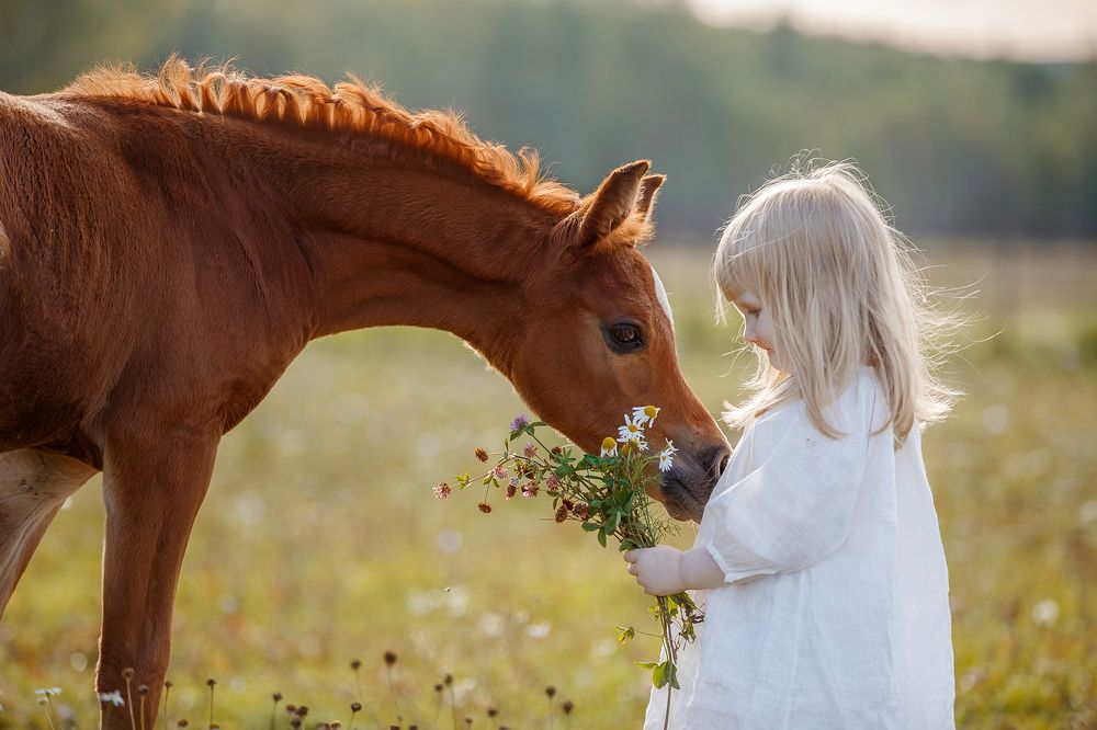 Photograph by Ольга Смирнова