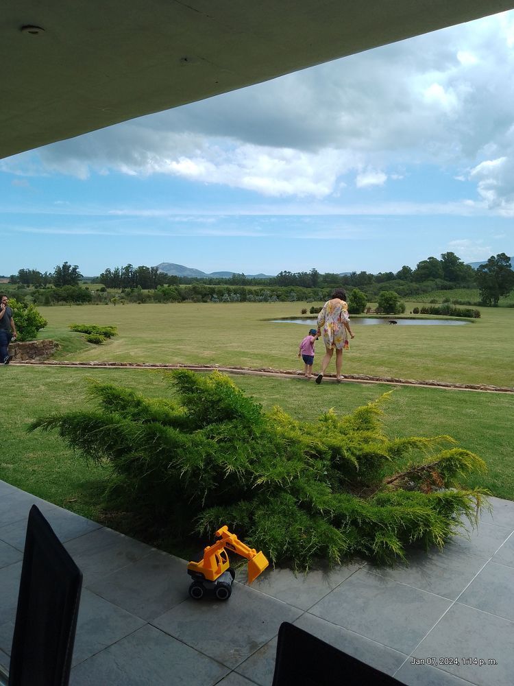 Photograph by Alicia Muñoz