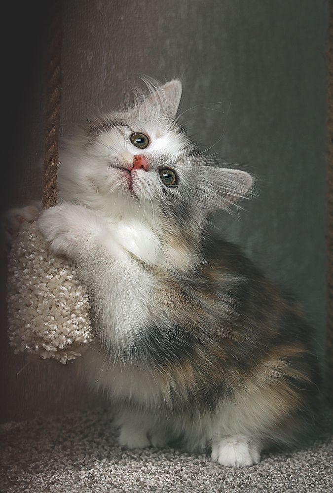 Photograph by Алина Жук