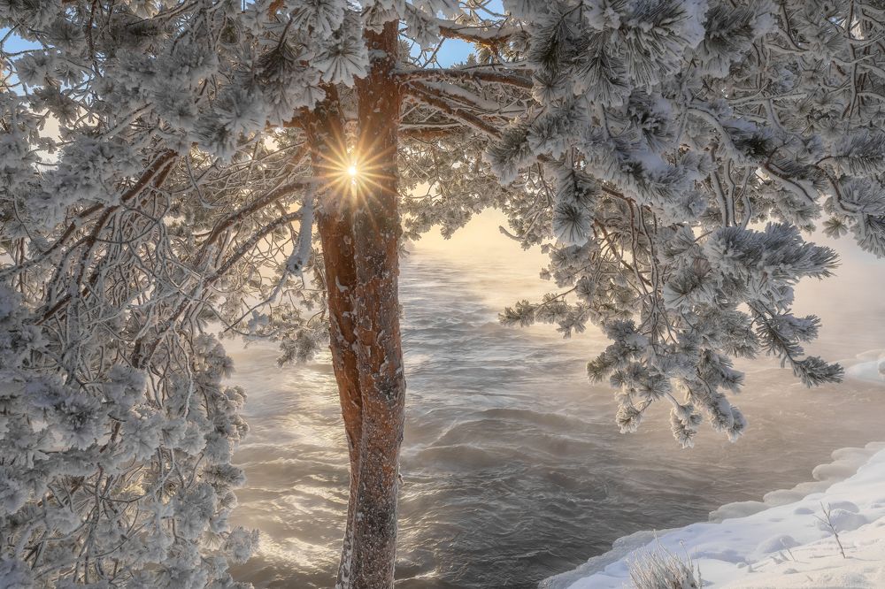 Фотография автора Александр Пашеничев