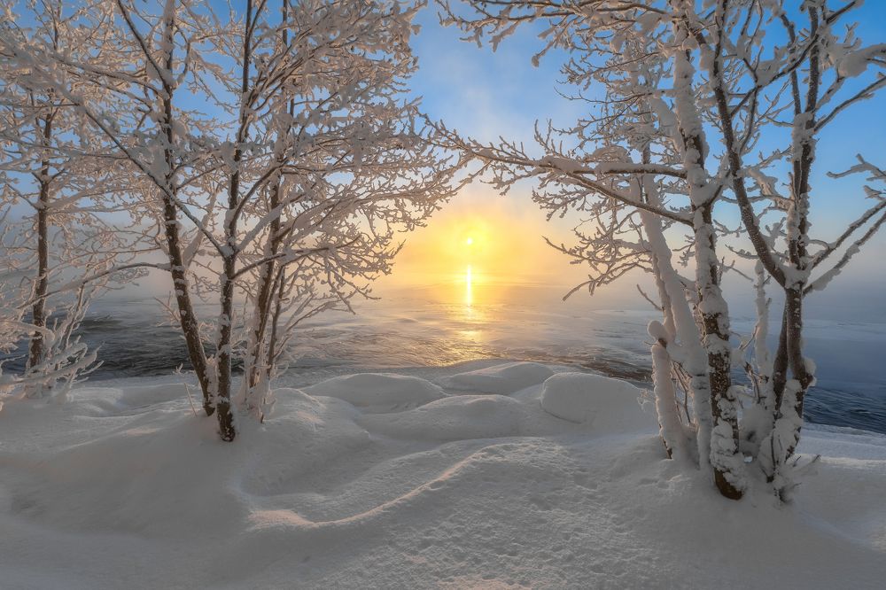 Photograph by Александр Пашеничев