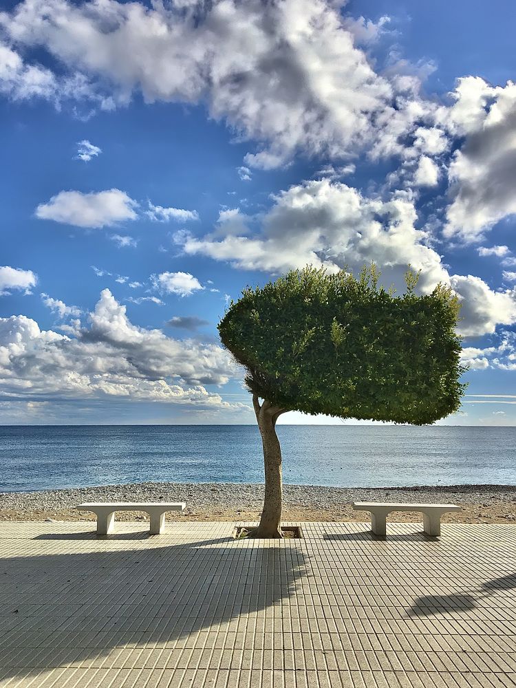 Photograph by Александр Белогаев