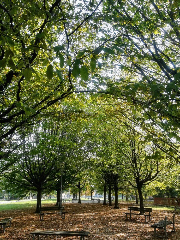 Breathing the silence