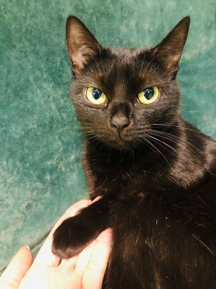 Фотография автора Литвинова Ольга