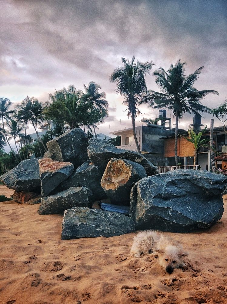 Фотография автора Julie Mishka