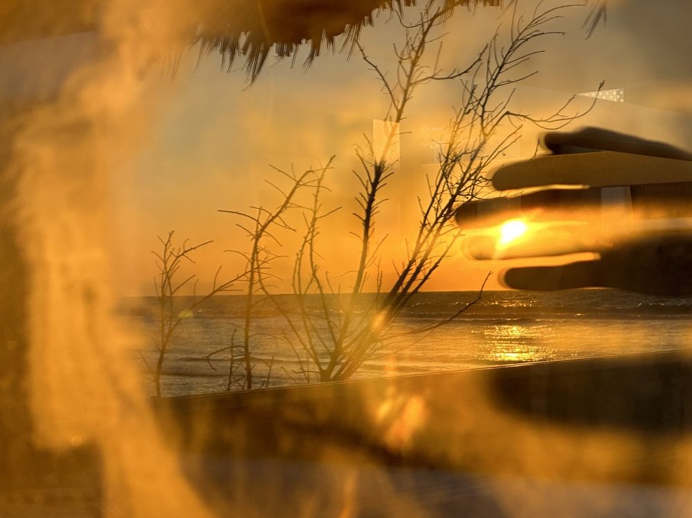 Photograph by Evgenia Barinova